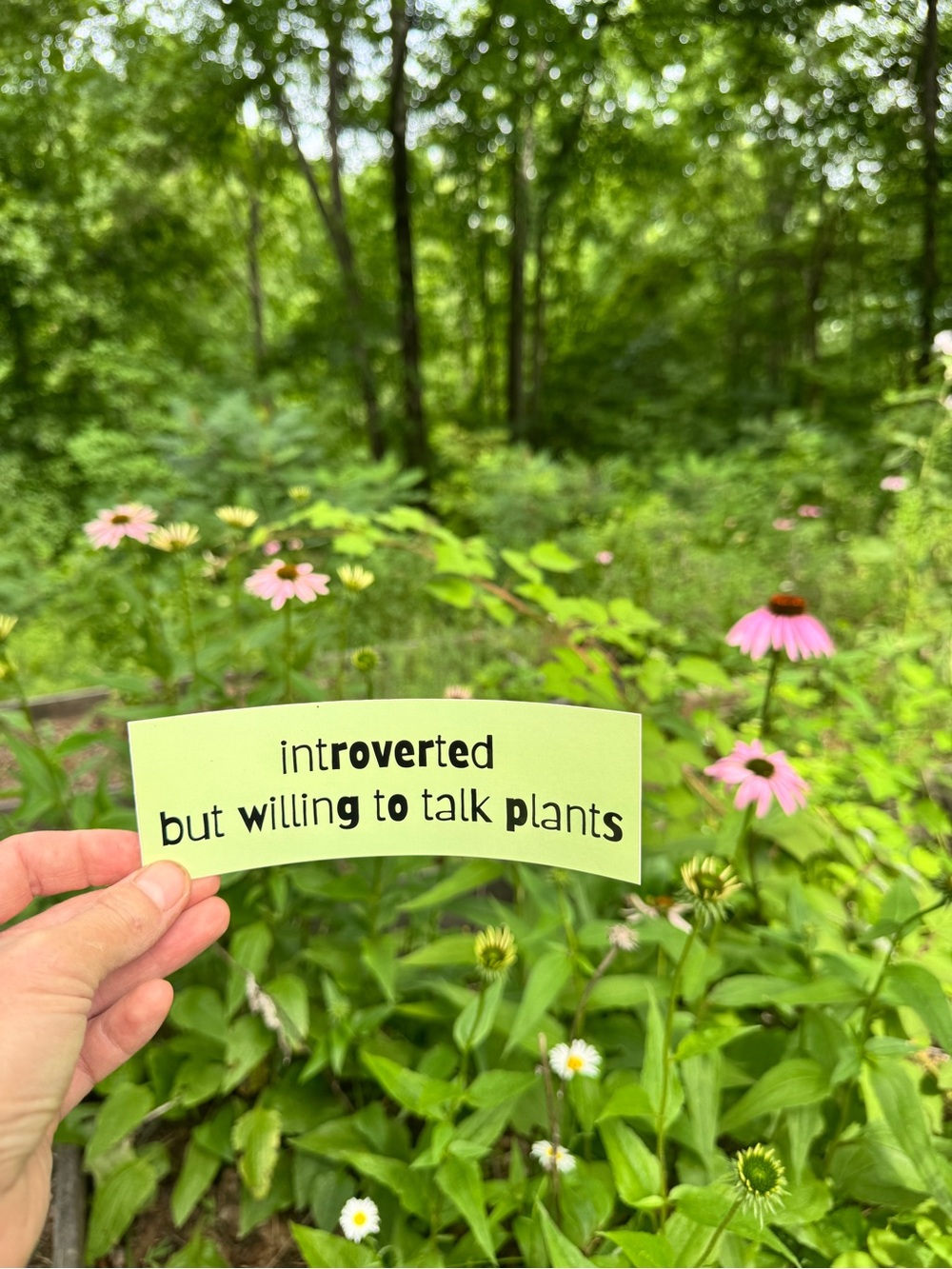 “introverted but willing to talk plants” bumper sticker 🪴🌿🌻 Good for bundling